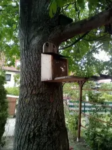 Waldenburger Zukunftshelden – Käferland Sondershausen – Futterstation Futterstation für Eichhörnchen in der Kita Käferland Sondershausen