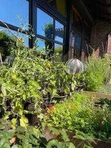 Waldenburger Zukunftshelden – Kiga Oer-Erkenschwick – Der Garten Pflanzen im Garten vom Kindergarten Henrys Abenteuerland Oer-Erkenschwick