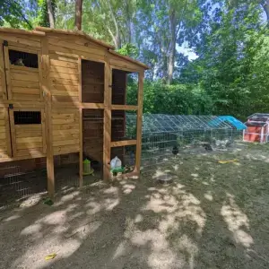 Waldenburger Zukunftshelden – Kita Alsleben – Hühnerstall mit Auslauf Hühnerstall mit Auslauf im Garten der Kita Ganseblümchen Alsleben