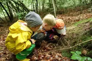 Waldenburger Zukunftshelden – Waldkindergarten Rottenburg – Was krabbelt denn da Kinder im Waldkindergarten Die Frischlinge Rottenburg untersuchen den Waldboden