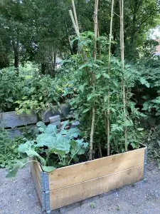 Waldenburger Zukunftshelden – Waldkinder Knechtsteden – Die Hochbeete sind fertig 1 Bepflanzte Hochbeete stehen im Garten der Waldkinder Knechtsteden